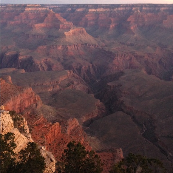 Meet your Posh Ambassador, Sandi - Picture 5 of 9